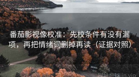 番茄影视像校准：先校条件有没有漏项，再把情绪词删掉再读（证据对照）