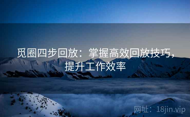 觅圈四步回放：掌握高效回放技巧，提升工作效率